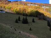 43 ritorno verso Colere